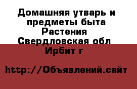 Домашняя утварь и предметы быта Растения. Свердловская обл.,Ирбит г.